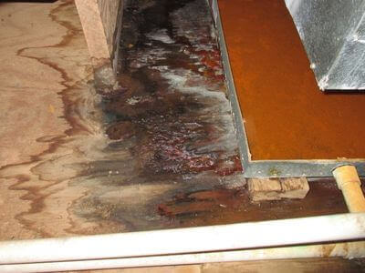 About Zenith Renew - water damage restoration experts in Springfield